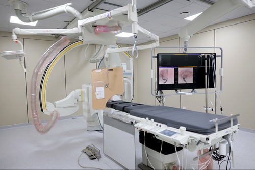 ubpress/image/2025/12/20/39ywyve6lbznpmxl/Хавдар